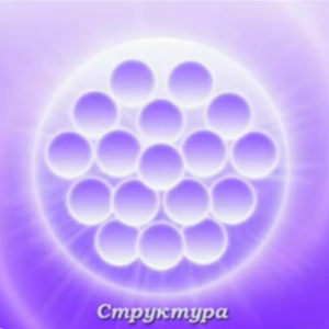 структура2