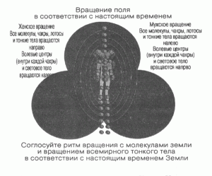 рис 80