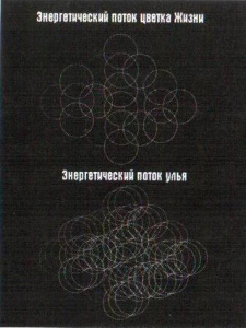 Энергетический поток Цветка Жизни и Улья