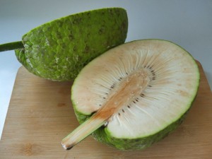 breadfruit